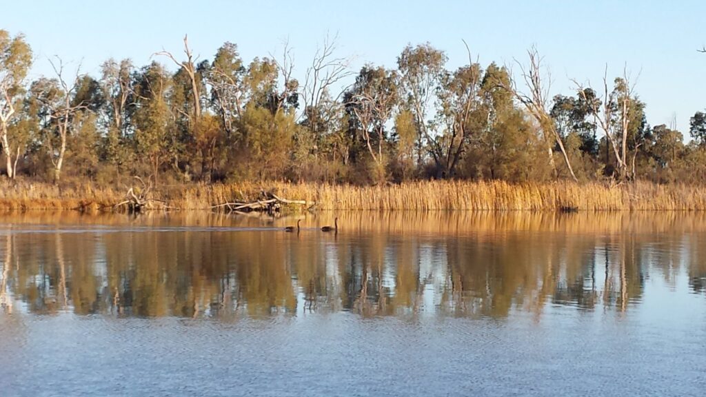 La vista dall'ostello